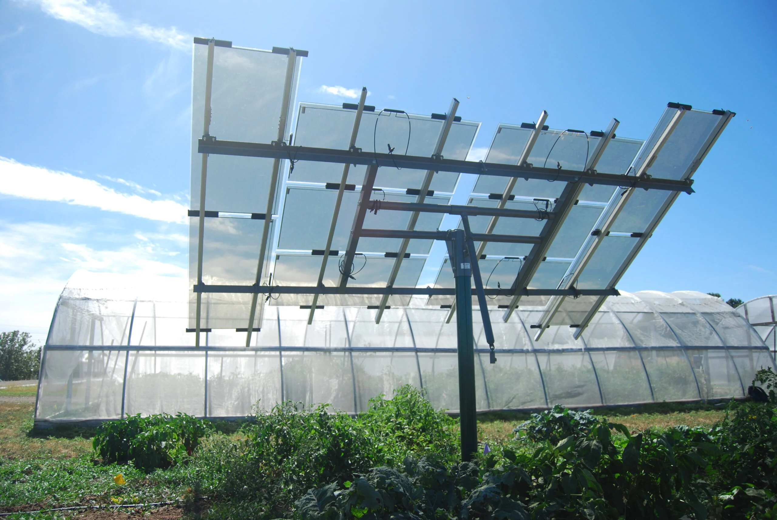 Agrivoltaics Semi-Transparent