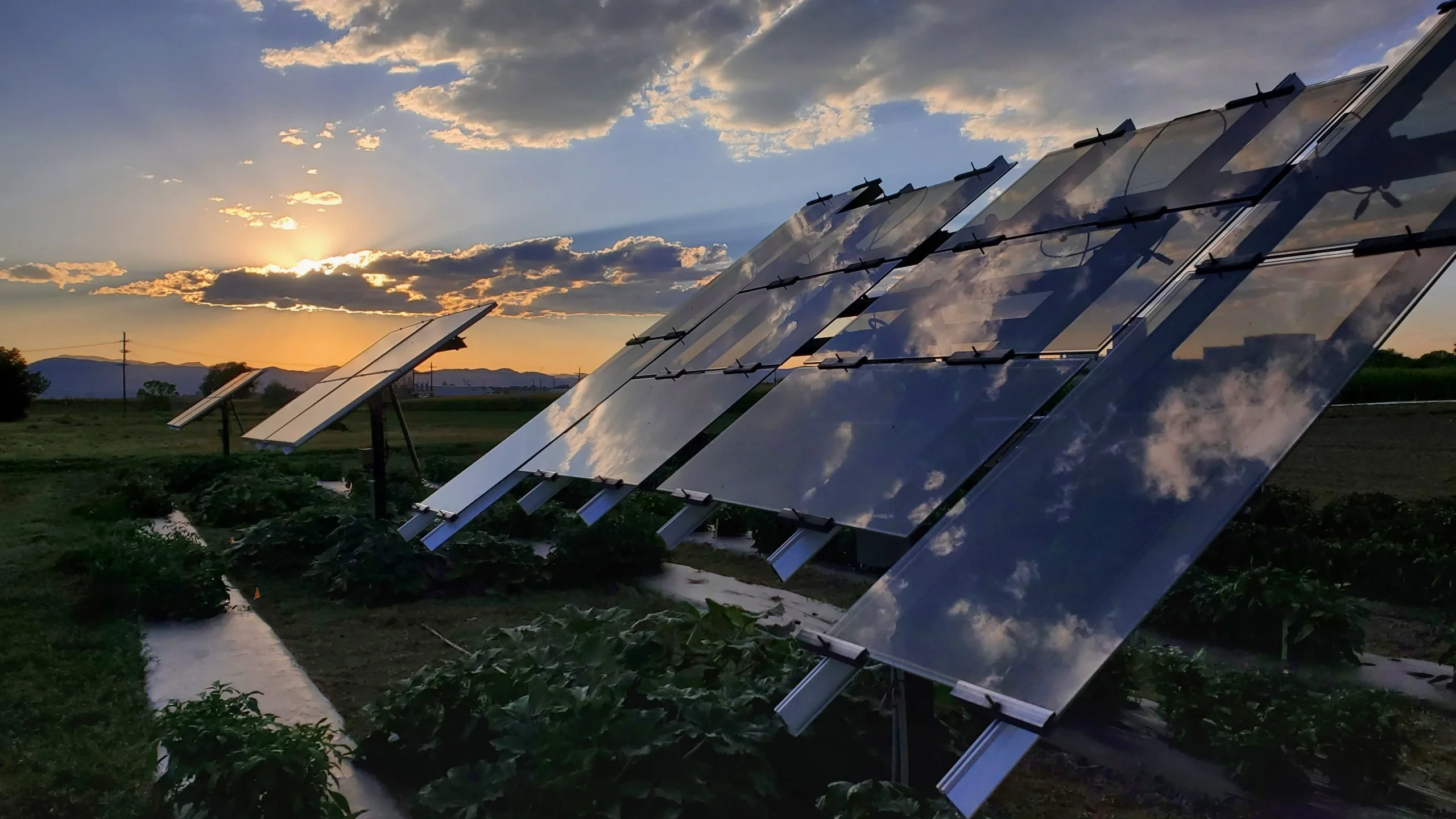 Agrivoltaics Array