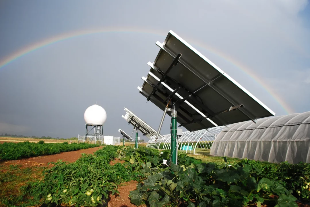 CSU Agrivoltaics Research Farm | Sandbox Solar