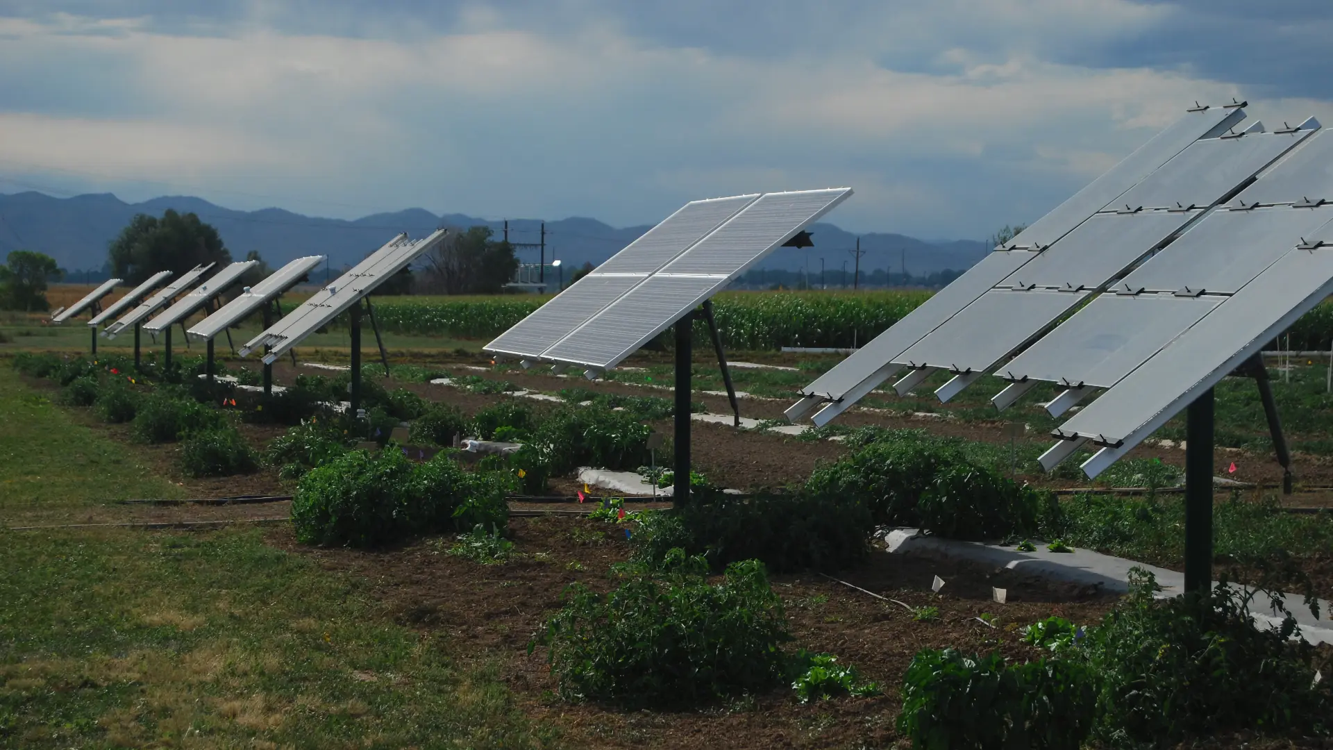 sandbox solar agrivoltaics