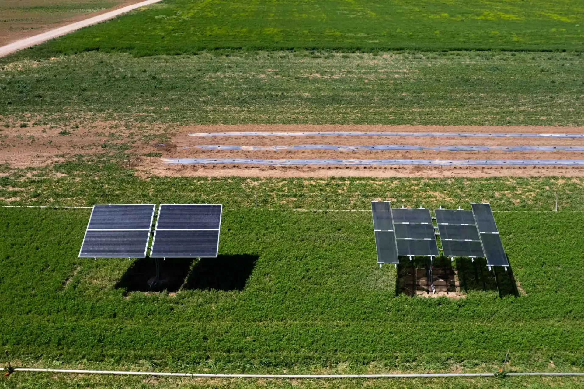 CSU Agrivoltaics Testing Grounds