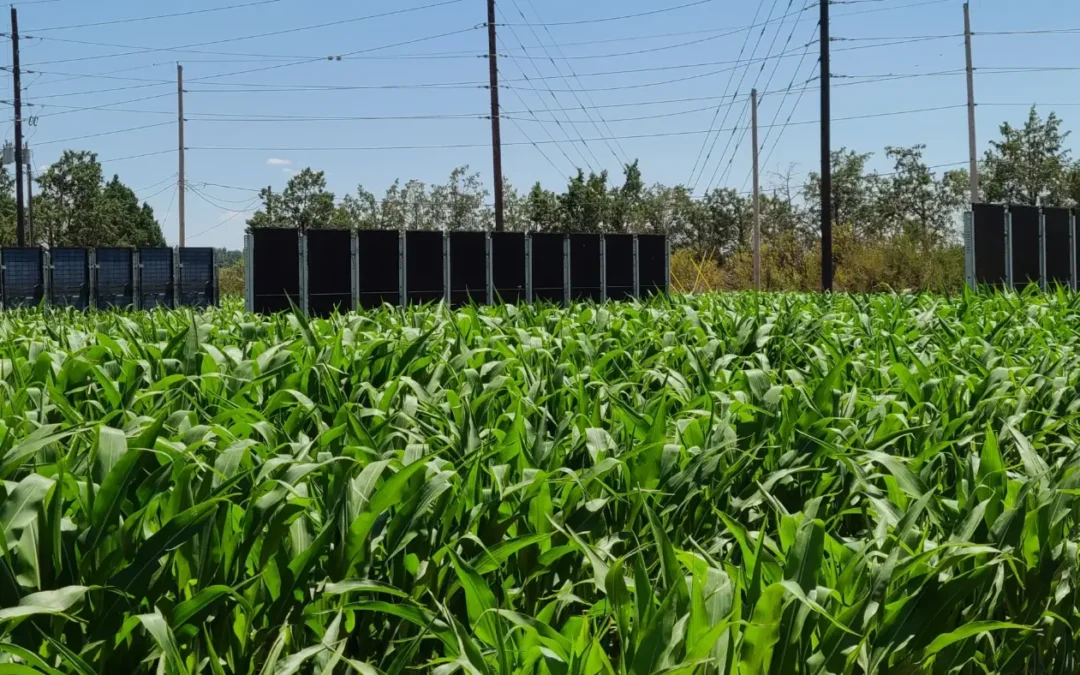 Analyzing Current and Future Vertical Bifacial Solar Fences