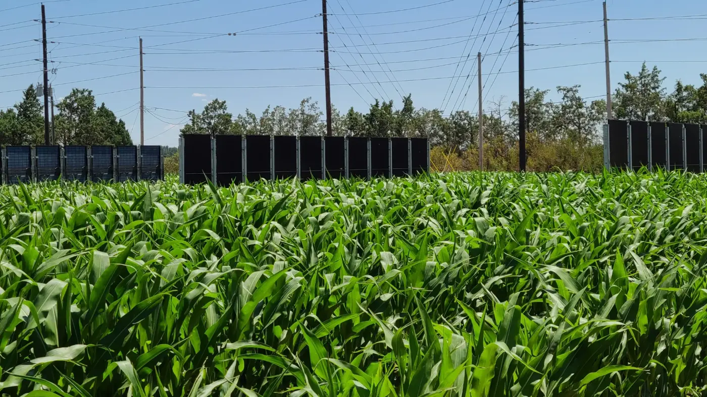 CSU Agrivoltaic Testing Grounds Bifacial Fence
