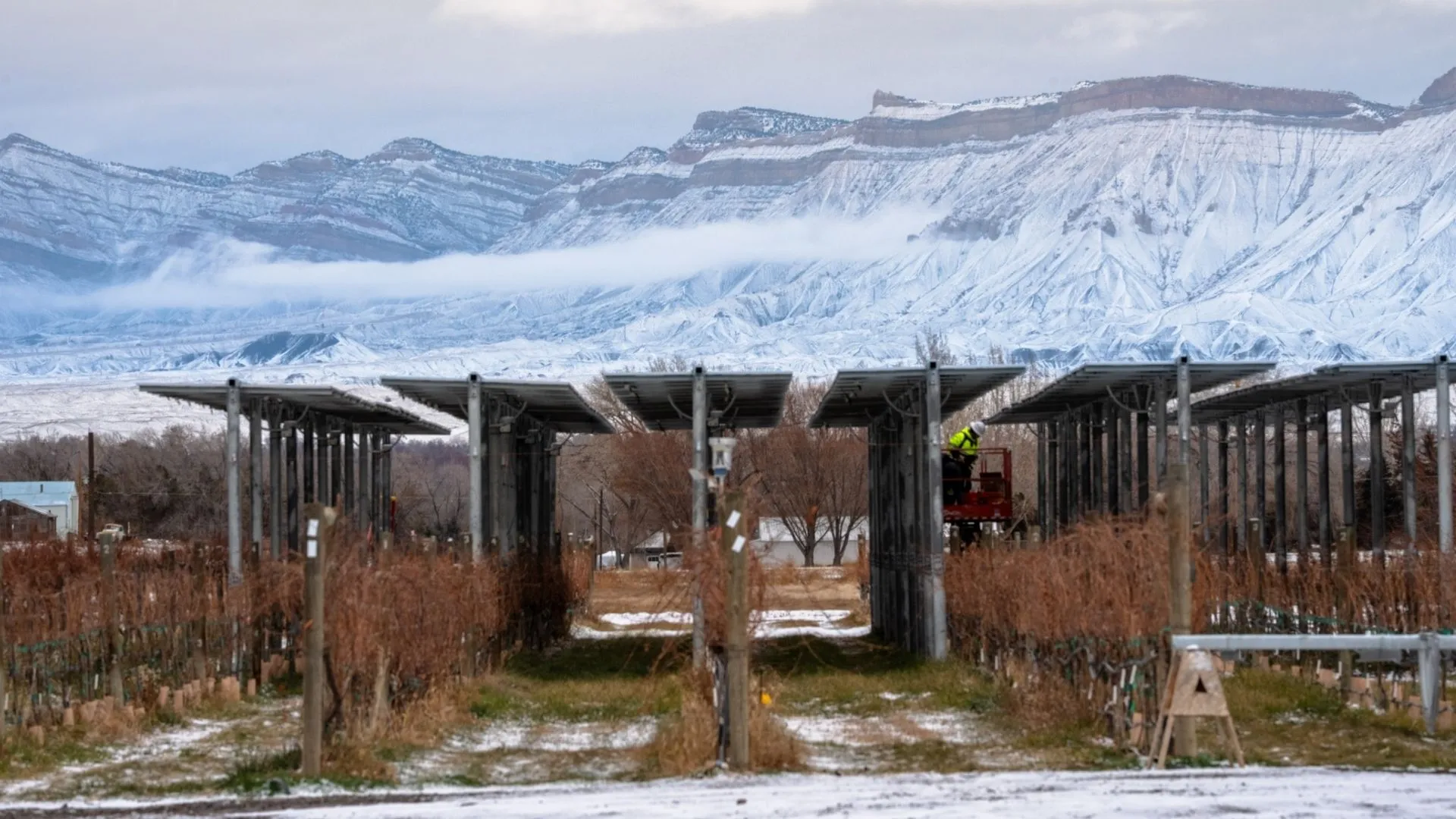 Agrivoltaics Project Over A Vineyard For Research
