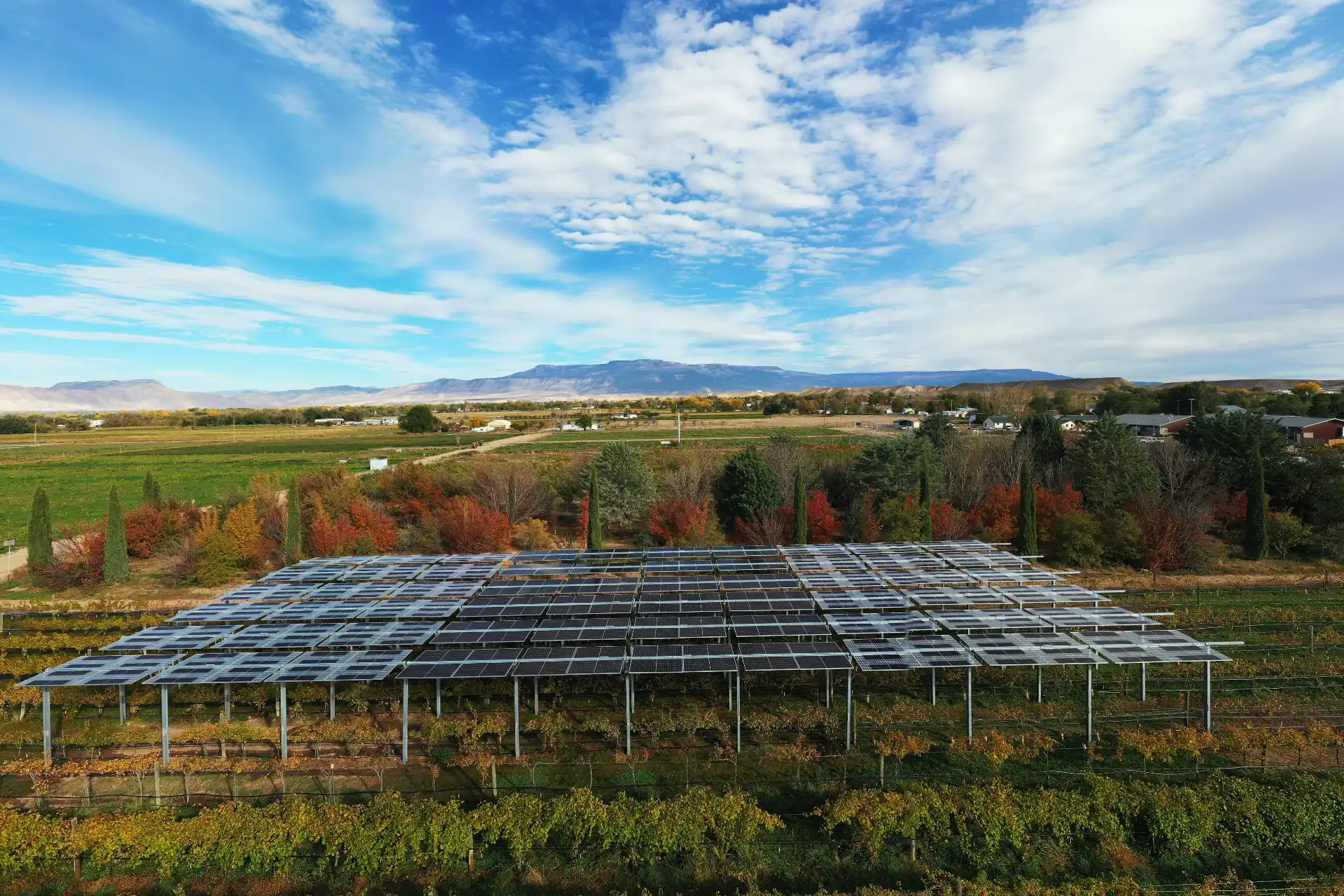 Colorado-State-University-Agrivoltaic-Array-Over-A-Vineyard-1920x1280 Colorado State University Agrivoltaics Over a Vineyard - Photo: Douglas Dean, Colorado State University Extension