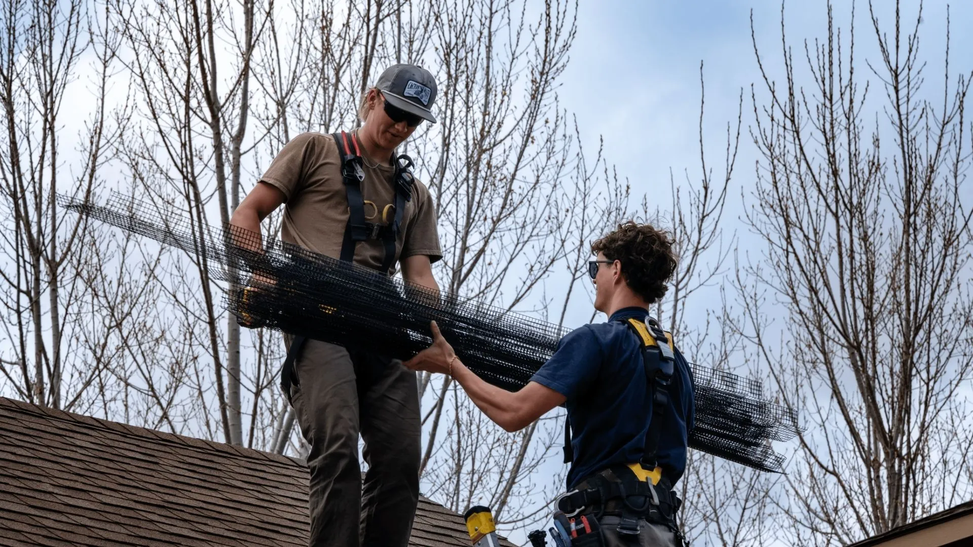 Solar Installers Ready To Install Critter Guards