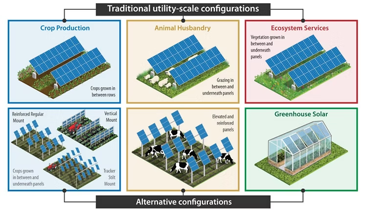 agrivoltaic array types sandbox solar