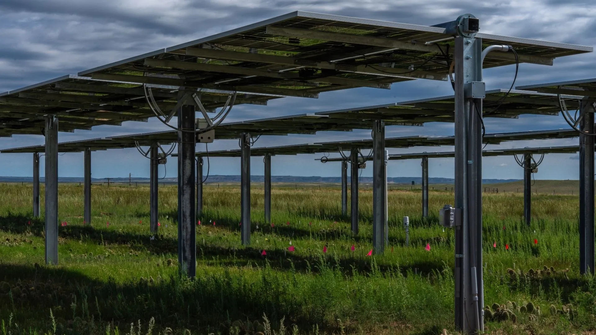 Agrivoltaics Solar Array Grasslands Agrivoltaics Solar Array Grasslands
