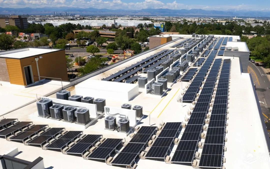 Commercial Solar 101: Solar for Your Business in Northern Colorado